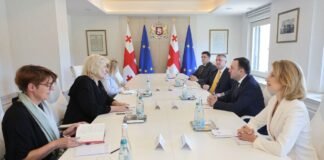 ირაკლი ღარიბაშვილი ევროპის საბჭოს ადამიანის უფლებათა დაცვის კომისარს დუნია მიატოვიჩს შეხვდა