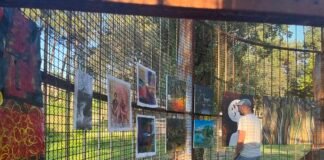 ,,168” – პროექტი, რომელიც რუსთავში მეხუთე წელია იმართება