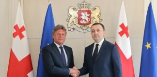 ირაკლი ღარიბაშვილი სამხრეთ აფრიკის რესპუბლიკაში საქართველოს საგანგებო და სრულუფლებიან ელჩს როლანდ ბერიძეს შეხვდა
