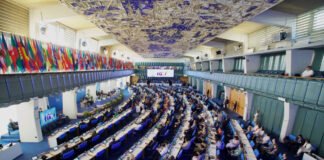 საქართველო FAO-ს საბჭოს წევრი ქვეყანა გახდა