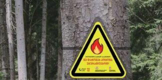 გარემოს დაცვისა და სოფლის მეურნეობის სამინისტრო მოსახლეობას ტყეში უსაფრთხოების წესების და დადგენილი აკრძალვების დაცვისკენ მოუწოდებს