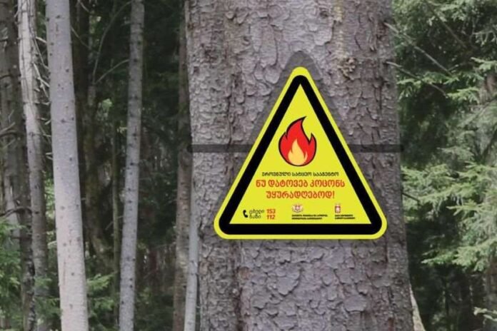 imedi-poto-2023-07-05t093620-533