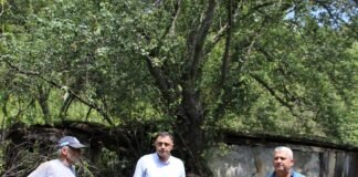 გოგი მეშველიანი თეთრიწყაროში სტიქიის შედეგებს ადგილზე გაეცნო