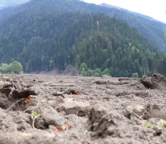 დღეს საქართველოში გლოვის დღეა