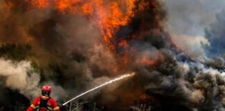 ბოლივია ტყის ხანძარს ებრძვის