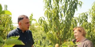 გოგი მეშველიანი „დანერგე მომავლის“ მონაწილეს ინგა ბერუაშვილს ჟოლოს მეურნეობაში ესტუმრა