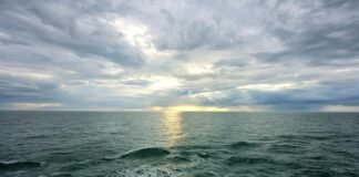 შავი ზღვის წყლის ხარისხი ნორმის ფარგლებშია