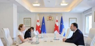 ირაკლი ღარიბაშვილმა კელი დეგნანთან გამოსამშვიდობებელი შეხვედრა გამართა