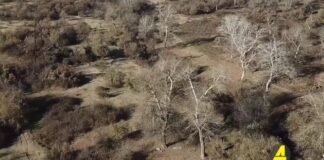 Xronika ქრონიკა აზერბაიჯანულ ენაზე