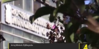 ,,ქრონიკის” დაიჯესტი 12.09.2023