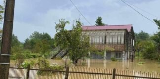 გურიაში სტიქიის სალიკვიდაციო სამუშაოები მიმდინარეობს