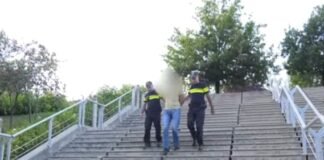 საპატრულო პოლიციამ ნარკოდანაშაულის ფაქტზე ერთი პირი დააკავა