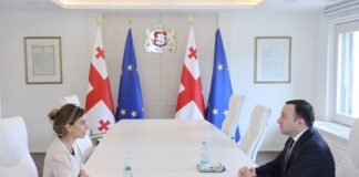 ირაკლი ღარიბაშვილმა საქართველოში ნიდერლანდების სამეფოს ახალ საგანგებო და სრულუფლებიან ელჩთან – მელინე არაკელიანთან გაცნობითი შეხვედრა გამართა