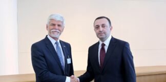 ირაკლი ღარიბაშვილი ჩეხეთის რესპუბლიკის პრეზიდენტს პეტრ პაველს შეხვდა
