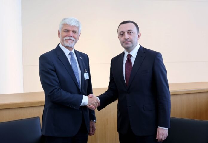 380541135_695292912631725_19090030951707879_n