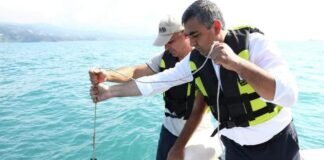 შავი ზღვის წყლის ხარისხი ნორმის ფარგლებშია