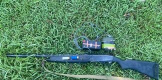 უკანონო ნადირობის 97 ფაქტი გამოავლინეს