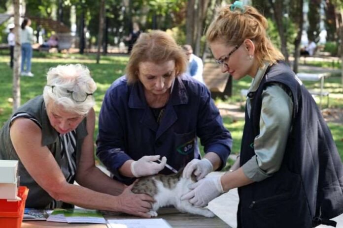 untitled-design-2023-09-28t155549-093