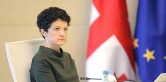 ოპოზიციონერმა დეპუტატებმა თეა წულუკიანს პარლამენტში სიტყვით გამოსვლა შეაწყვეტინეს