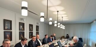 გოგი მეშველიანი სამუშაო ვიზიტით ნიდერლანდების სამეფოში იმყოფება