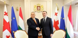 საქართველოს პრემიერ-მინისტრი უნგრეთის პრემიერ-მინისტრ ვიქტორ ორბანს შეხვდა