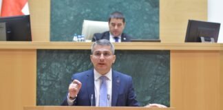 მამუკა მდინარაძე: პრეზიდენტად წოდებულს ვერ წამოვაცდენინეთ, რომ საქართველო იმსახურებს კანდიდატის სტატუსს