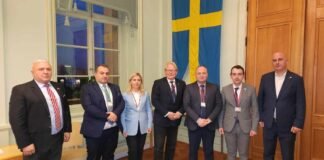 საქართველოს საპარლამენტო დელეგაცია შვედეთის პარლამენტის თავდაცვის კომიტეტის თავმჯდომარეს შეხვდა