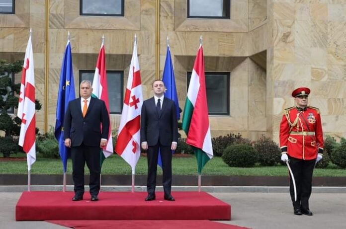 FB_IMG_1697175540076