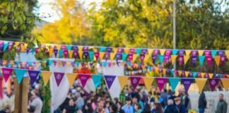 ბოლნისში ღვინის ფესტივალი „ღვინის დღეები“ მოეწყო