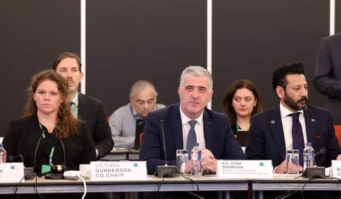 FB_IMG_1698049307233