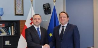 ირაკლი ღარიბაშვილი ევროპული სამეზობლო პოლიტიკისა და გაფართოების საკითხებში ევროკომისარს − ოლივერ ვარჰეის შეხვდა