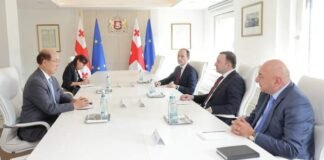 ირაკლი ღარიბაშვილი გაეროს საერთაშორისო საზღვაო ორგანიზაციის (IMO) გენერალურ მდივანს − კიტაკ ლიმს შეხვდა