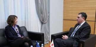 ილია დარჩიაშვილი რობინ დანიგანს შეხვდა