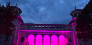 ,,ვარდისფერი ოქტომბრის” ფარგლებში რუსთავის თეატრი ვარდისფრად განათდა