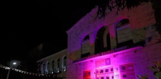 ,,ვარდისფერი ოქტომბრის” ფარგლებში,ბოლნისში,კულტურის სახლის შენობა ვარდისფრად განათდა