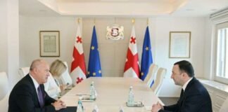 ირაკლი ღარიბაშვილი ჩეხეთის რესპუბლიკის საგანგებო და სრულუფლებიან ელჩს საქართველოში, პეტრ კუბერნატს შეხვდა