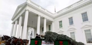 თეთრ სახლში საახალწლო ნაძვის ხე მიიტანეს