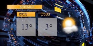 ,,ქრონიკის” დაიჯესტი 20.11.2023