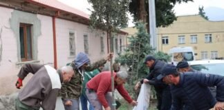 ქალაქ ბოლნისში მუხის მარადმწვანე ნერგები დაირგო