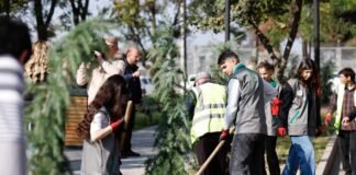 რუსთავის მერია ახალგაზრდების დასაქმების პროგრამას – ,,ახალი სიმწვანე – ახალი თაობისგან” ახორციელებს