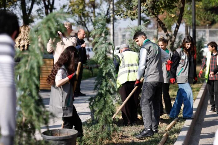 ახალი მწვანე