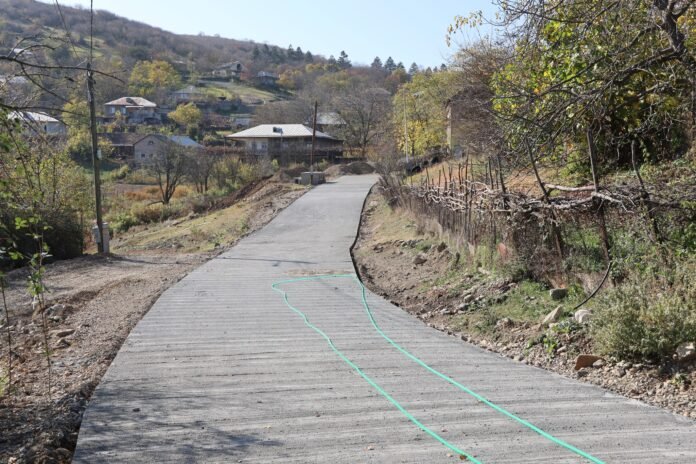 გზა სოფელ ტანძიაში