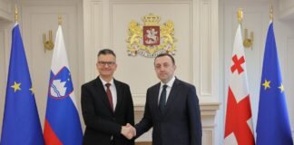 ირაკლი ღარიბაშვილი სლოვენიის თავდაცვის მინისტრ მარიან შარეცს შეხვდა