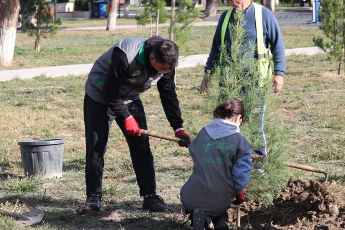 401632611_337503688995176_2461964687487262544_n