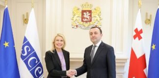 ირაკლი ღარიბაშვილი ეუთოს საპარლამენტო ასამბლეის პრეზიდენტ პია კაუმას შეხვდა