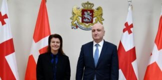 ზურაბ აზარაშვილმა დანიის ელჩთან გაცნობითი შეხვედრა გამართა