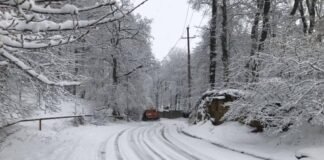 ჩოხატაური-ბახმაროს და ოზურგეთი-შემოქმედი-ბჟუჟჰესი-გომისმთას გზების ცალკეულ მონაკვეთებზე გადაადგილების შეზღუდვები დაწესდა