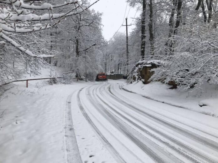 402660664_720659823425589_298354414105433911_n