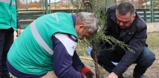 დავით შერაზადიშვილმა ქალაქ ბოლნისში გამწვანების აქციაში მონაწილეობა მიიღო