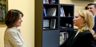 ნათია თურნავა ამერიკის შეერთებული შტატების ახალ ელჩს საქართველოში რობინ დანიგანს შეხვდა